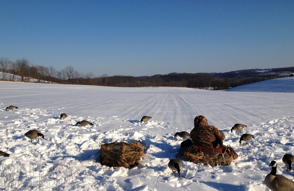 Goose Hunting - Dec 16 2013 - 2